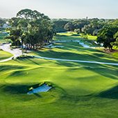 Golf In Tampa Bay, Florida. PGA National, The Staple Review