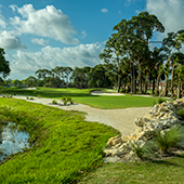Golf In Tampa Bay, Florida. PGA National, The Staple Review