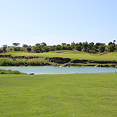 Golf In Mauritius, Mont Choisy Le Golf course Review