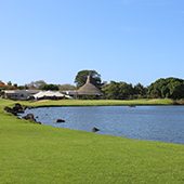 Golf In Mauritius, Mont Choisy Le Golf course Review