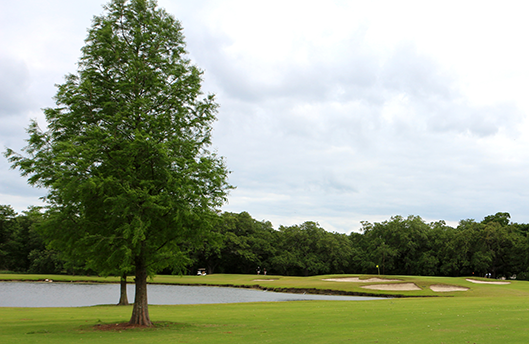 Golf holiday review of Louisiana and the Audubon Golf Trail: The 18th hole at The Golf Course at Audubon Park