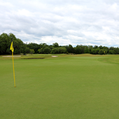 Golf holiday review of Louisiana and the Audubon Golf Trail: The double green at the 1st and 16th with the 17th green in the background at The Golf Course at Audubon Park