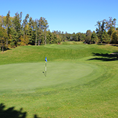 Golf holiday review of Minnesota, USA, The Pines, 8th hole on The Woods Course