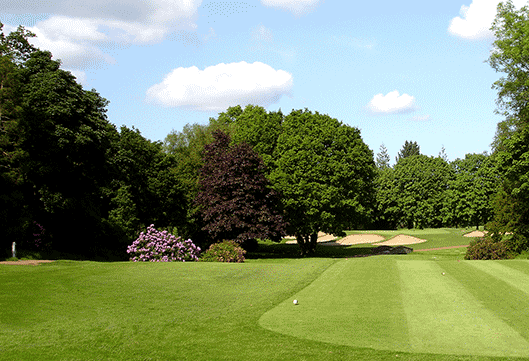 Golf holiday review of Northern Ireland, Belvoir Park Golf Club