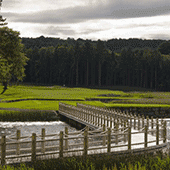 Golf holiday review of Northern Ireland, Lough Erne Resort