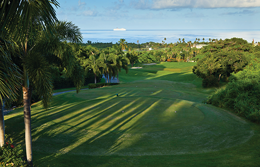 Golf holiday review of St Kitts and Nevis.Four Season Golf Course 16th hole looking out to sea