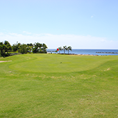Golf holiday review of St Kitts and Nevis.Four Season Golf Course 18th Gree right on the beach