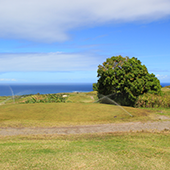 Golf holiday review of St Kitts and Nevis.Irie Fields Golf Course at Kittitian Hill. The beautiful downhill 16th hole