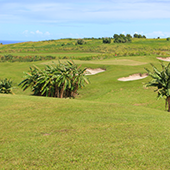 Golf holiday review of St Kitts and Nevis.Irie Fields Golf Course at Kittitian Hill. 9th green.