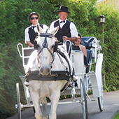 Hotel and Spa Review, Nestleton Waters Inn, Ontario, Canada, Horse carriage ride